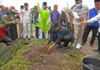 Dukung Penghijauan, Bupati Tanam Bibit Pohon Pinang di Desa Simodong