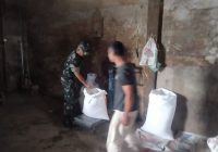 Cek Stok Gabah Dan Beras,Babinsa Koramil 01/Sumbul Kodim 0206 Dairi Sambangi Kilang Padi