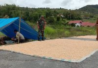 Babinsa Koramil 07/salak dan Bhabinkamtibmas Komsos Dengan Warga Petani Jagung di  Desa Binaan.