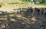 Babinsa Bersama Masyarakat Kuta Buluh Memanfaatkan Lahan Sebagai Sumber Pangan Dan Bahu Membahu Untuk Ketahanan Pangan