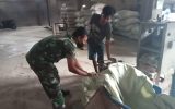Jaga Ketahanan Pangan Babinsa Koramil 01/Sumbul Cek Stok Gabah Dan Beras,Di Kilang Padi Sumbul
