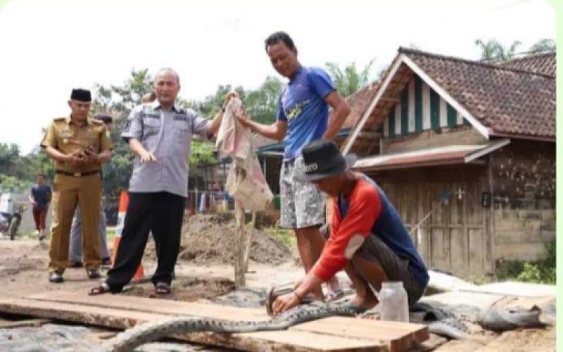 Pj Bupati Muba Tinjau Langsung Jalan Hampir Putus Di Dusun 5 Desa Tanah Abang Kecamatan Batang Hari Leko Muba