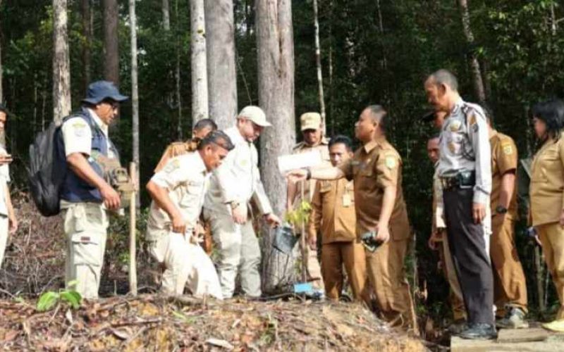 Bupati Pakpak Bharat Berkunjung Ke Pagindar Melakukan Penanaman Pohon Kapur