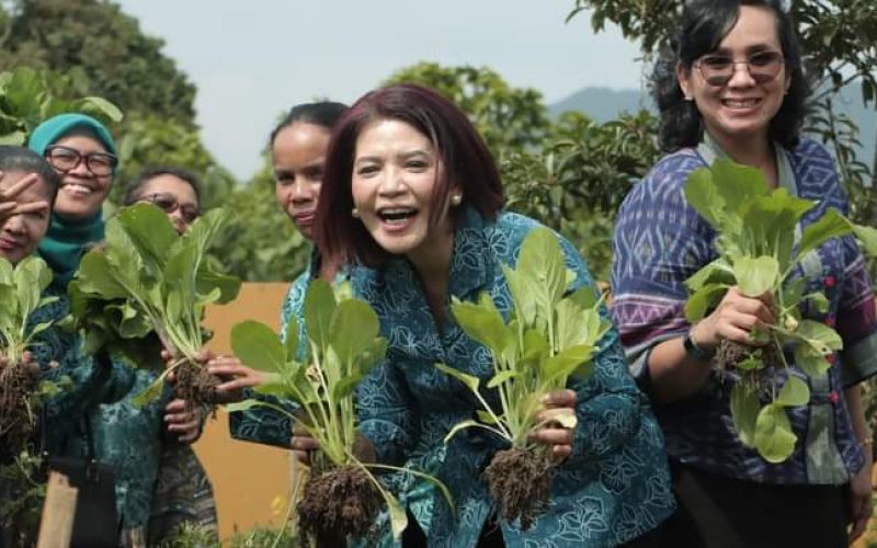 PKK Kabupaten Dairi Targetkan IVA Test Di Kecamatan Lae Parira 100 Persen April Mendatang