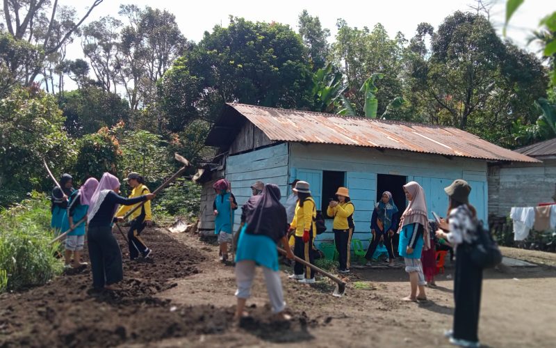 Camat Kecamatan Berampu Bersama Warga Desa Pasi Gotong Royong Di Desa Pasi
