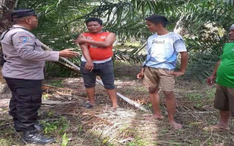 Cegah Karhutla Bhabinkamtibmas Polres Simalungun Sampaikan Himbauan Kepada Petani Sawit