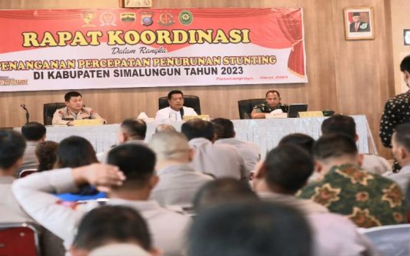 Kabupaten Simalungun Sukses Penurunan Stunting 10,6% dari 28% Menjadi 17,4%