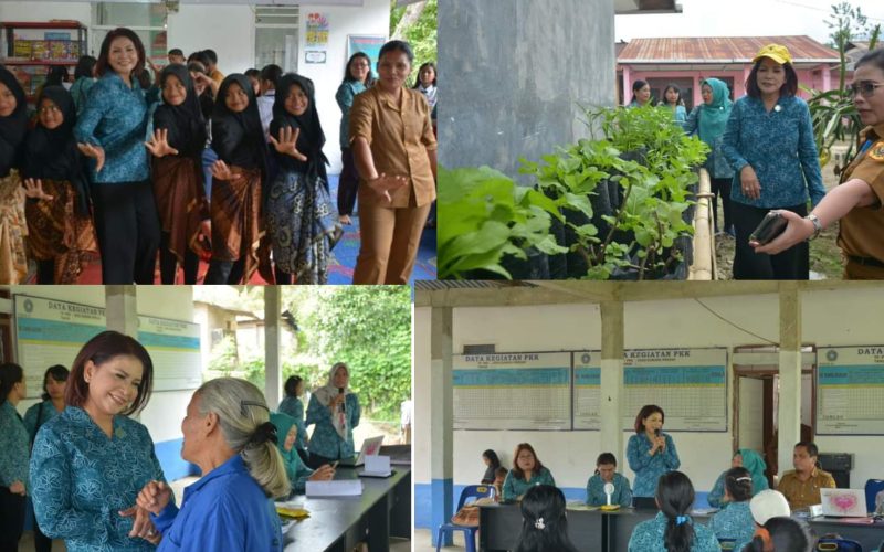 Ketua TP PKK Kabupaten Dairi Apresiasi Desa Sigambir – Gambir Dalam Persiapan Desa Pola Asuh Anak Dan Remaja