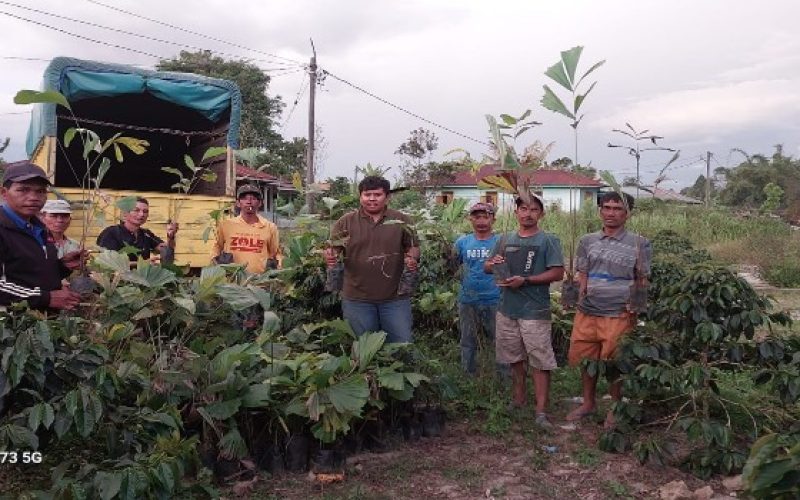 Toba Pulp Lestari (TPL) Sektor Habinsaran Salurkan Bantuan Bibit Aren Kepada Kelompok Tani di Dusun Purba Sinomba dan Dusun Nagasaribu, Desa Pohan Jae, Kecamatan Siborong Borong, Kabupaten Tapanuli Utara