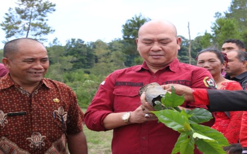 Bupati Taput Hadiri Penanaman Perdana Kopi Arabika Jenis Komasti di Desa Doloksaribu Kecamatan Pagaran