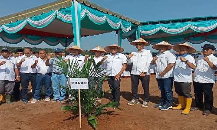 73 Hektar HGU PTPN2 Kebun Limau Mungkur Mulai Ditanami Sawit