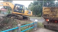 Program Layanan Bantuan Gratis, Gercep Dumas Petani PUPR Indramayu Datangkan Alat Berat Excavator