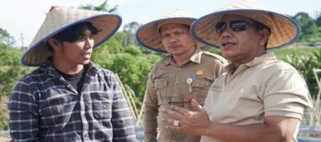 Bupati Simalungun Lakukan Penanaman Cabai Dengan Metode Fertigasi