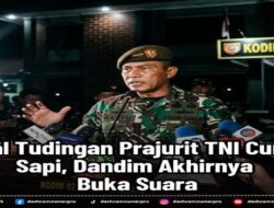 Viral Tudiangan TNI Curi 16 Sapi, Dandim Akhirnya Buka Suara