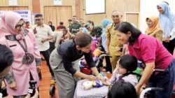Puluhan Anak Penyandang Disabilitas di Simalungun Terima Kursi Roda Adaptif