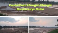 Menggoda! Saat Air Surut, Sungai Musi Sekayu Berubah Jadi Syurga Pulau Pasir Yang Ramai Di Kunjungi.