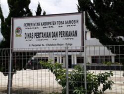 Terkesan Kebal Hukum Kadis Pertanian Kabupaten Toba Abaikan Undang-Undang