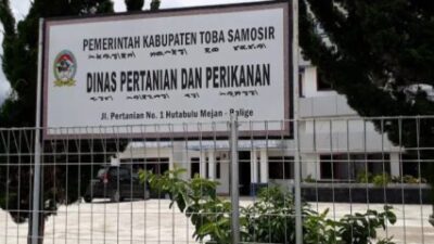 Terkesan Kebal Hukum Kadis Pertanian Kabupaten Toba Abaikan Undang-Undang