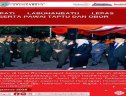 Pelepasan Pawai Diawali Penyalaan Obor Oleh Dandim 0209/Lb dan Bupati Labuhanbatu