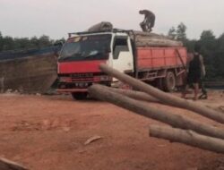 Aktivitas Bongkar Muat Kayu Gelondongan Kembali Terpantau Di Pelabuhan Tanjung Gundap Batam