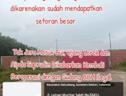 Tiga Serangkai Mafia BBM Ilegal Berkobolasi : Di Segayam Muara Enim, Polsek Gelombang Dan Polres Muara Enim Seperti Patung Tidak Ada Tindakan!