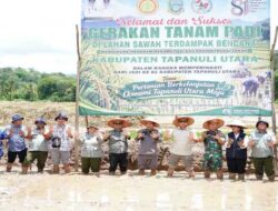 Kabupaten Tapanuli Utara Gerakkan Tanam Padi di Lahan Terdampak Bencana
