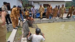 ‎Tinjau BBI Purbatua, Pemkab Taput Dorong Inovasi Budidaya Ikan Air Tawar