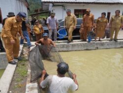 ‎Tinjau BBI Purbatua, Pemkab Taput Dorong Inovasi Budidaya Ikan Air Tawar