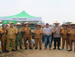 Dorong Pertanian Modern dan Berkelanjutan, Pemkab Tapanuli Utara Tanam Jagung Bersama di Kawasan Pertanian Terpadu Sijaba