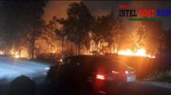 Polsek Sekupang Gerak Cepat Tangani Kebakaran Lahan Semak Belukar di Marina City